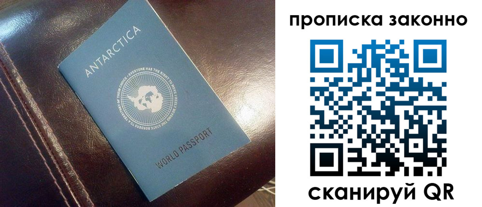 прописка в квартире в Рязани